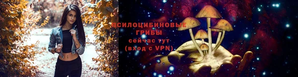 PSILOCYBIN Алексин