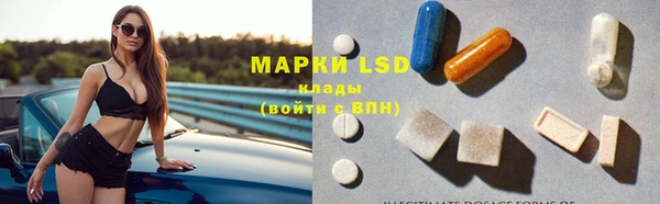 PSILOCYBIN Алексин