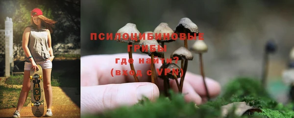 PSILOCYBIN Алексин