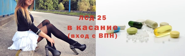 ГАЛЛЮЦИНОГЕННЫЕ ГРИБЫ Алзамай