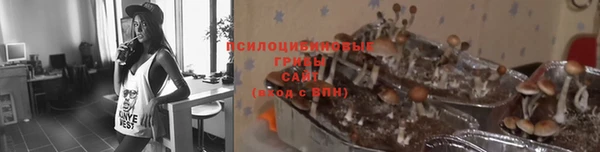 PSILOCYBIN Алексин