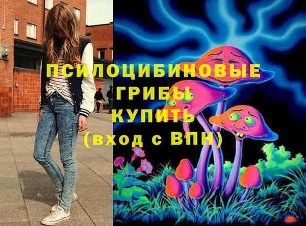 PSILOCYBIN Алексин