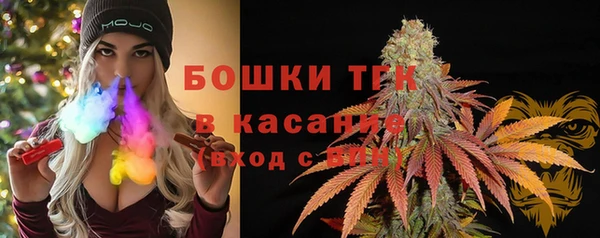 шишки Алексеевка