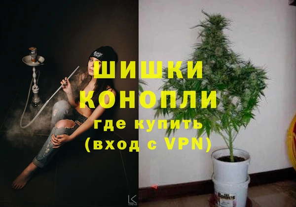 шишки Алексеевка